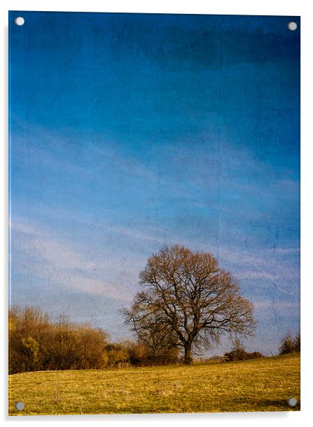 Tree in Field Acrylic by Mark Llewellyn