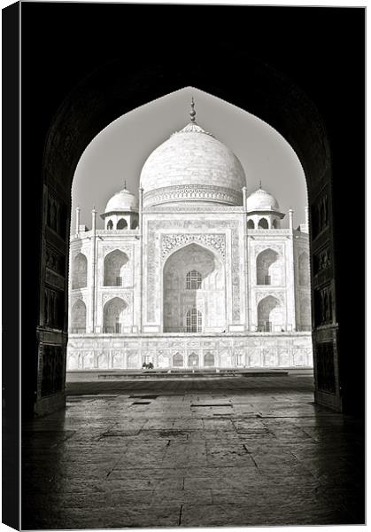 The Taj Mahal Canvas Print by Norwyn Cole
