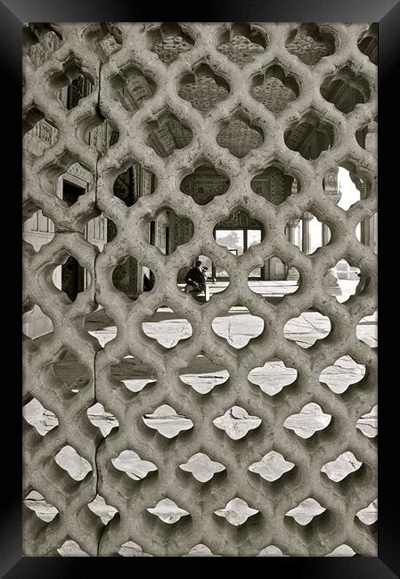 The Taj Mahal Framed Print by Norwyn Cole