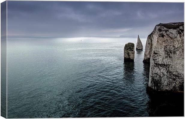 Old Harry Rocks Canvas Print by Gail Johnson