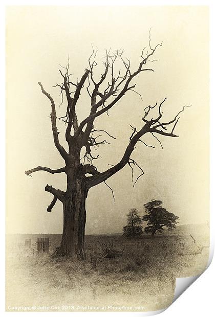Ye Olde Tree Print by Julie Coe