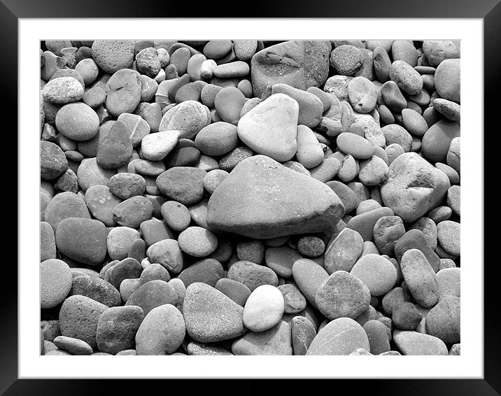 Beach Pebbles Framed Mounted Print by Shaun Cope