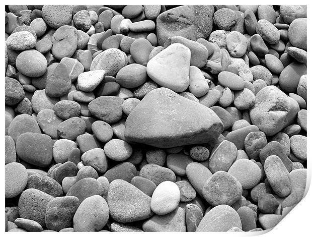Beach Pebbles Print by Shaun Cope