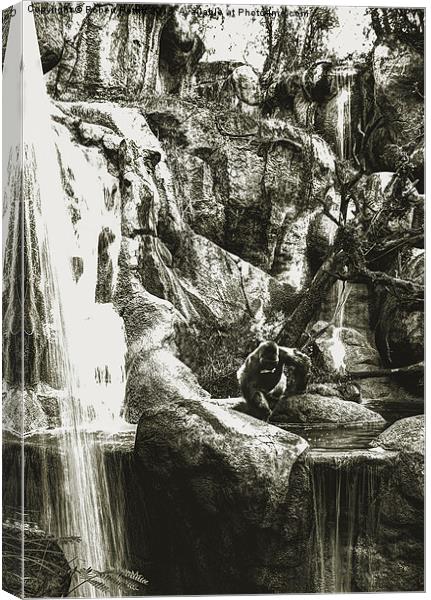 Gorilla and Waterfall Canvas Print by Robert Pettitt