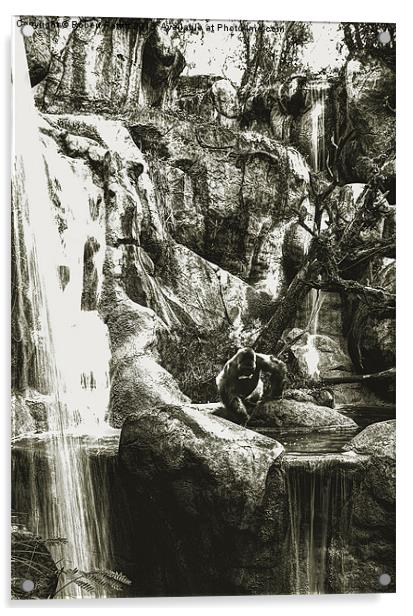 Gorilla and Waterfall Acrylic by Robert Pettitt