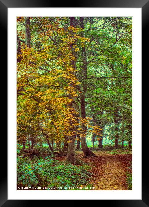 A Walk In The Woods Framed Mounted Print by Julie Coe