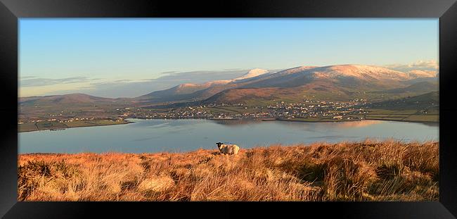 View over Dingle Bay Framed Print by barbara walsh