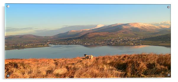 View over Dingle Bay Acrylic by barbara walsh