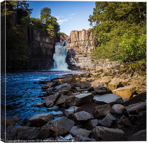High Force Waterfall Canvas Print by Angie Morton