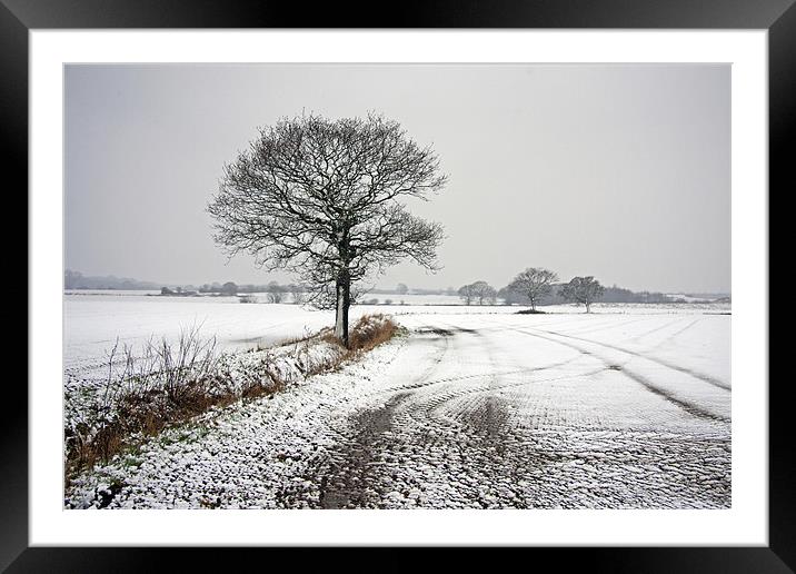 A Winters day. Framed Mounted Print by Paul Scoullar
