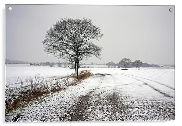 A Winters day. Acrylic by Paul Scoullar