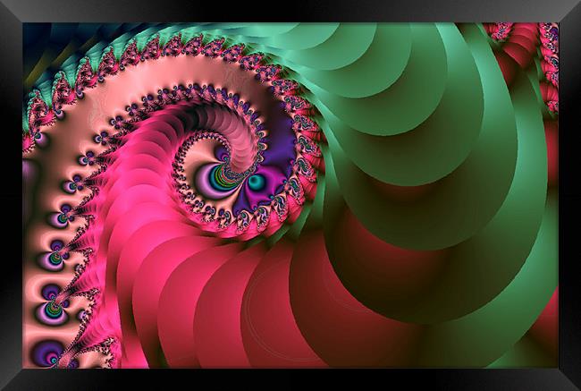 Coloured Spirals Framed Print by Rosanna Zavanaiu