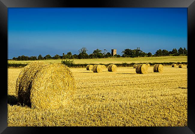 Hay Bales Framed Print by Mark Llewellyn