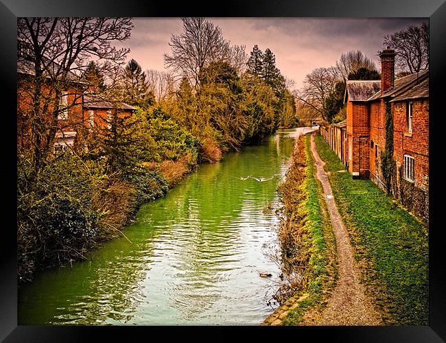 Canal at Hungerford Framed Print by Mark Llewellyn