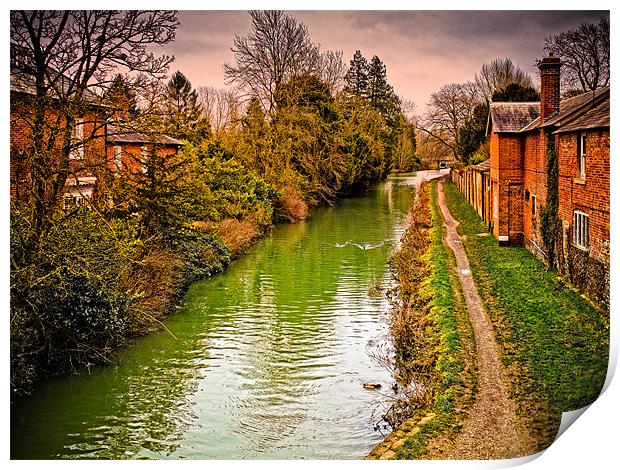 Canal at Hungerford Print by Mark Llewellyn