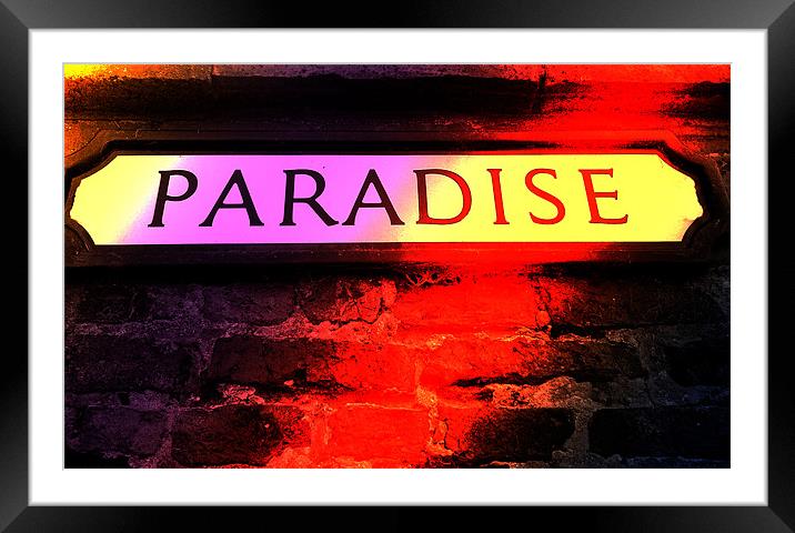 Another Day in Paradise Framed Mounted Print by Ade Robbins