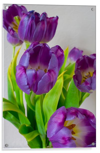 Tulips Acrylic by Dave Wilkinson North Devon Ph