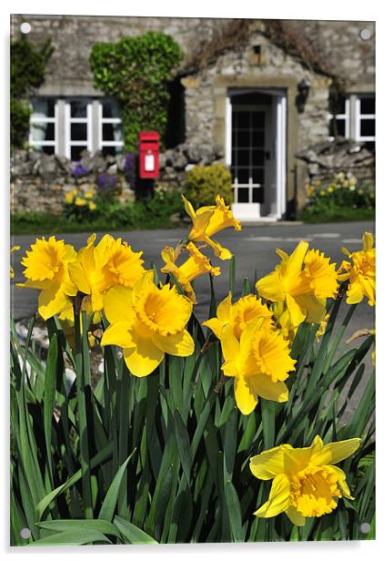Yorkshire Daffodils Acrylic by Jason Connolly