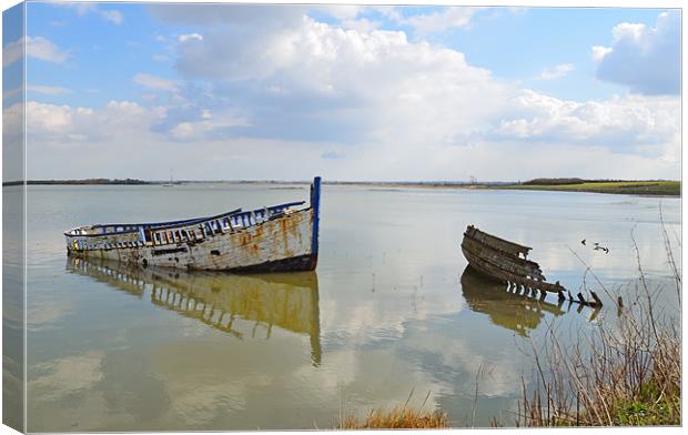 Maldon Essex shipwrecks  Canvas Print by Diana Mower