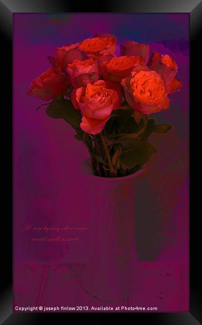 A rose by any other name Framed Print by joseph finlow canvas and prints