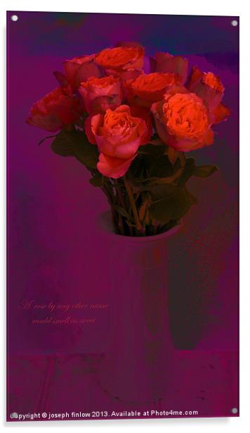 A rose by any other name Acrylic by joseph finlow canvas and prints