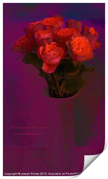 A rose by any other name Print by joseph finlow canvas and prints
