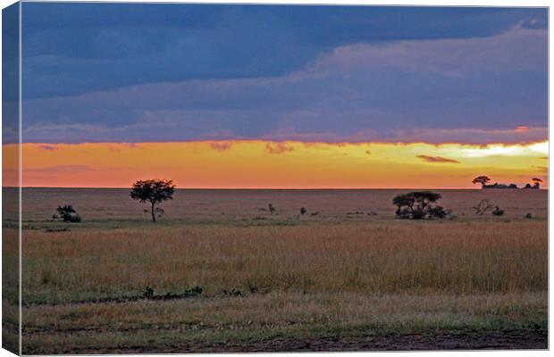 Serengeti Sunrise Canvas Print by Tony Murtagh