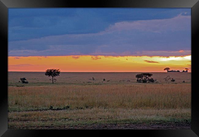 Serengeti Sunrise Framed Print by Tony Murtagh