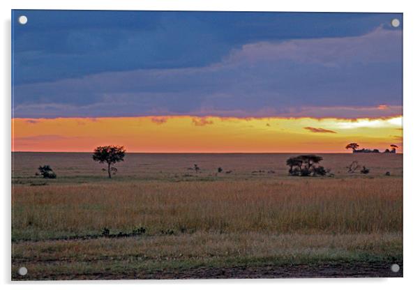 Serengeti Sunrise Acrylic by Tony Murtagh