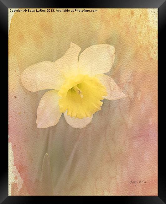 Dancing With The Daffodils Framed Print by Betty LaRue