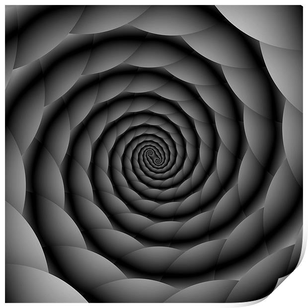 Monochrome Spiral Print by Colin Forrest