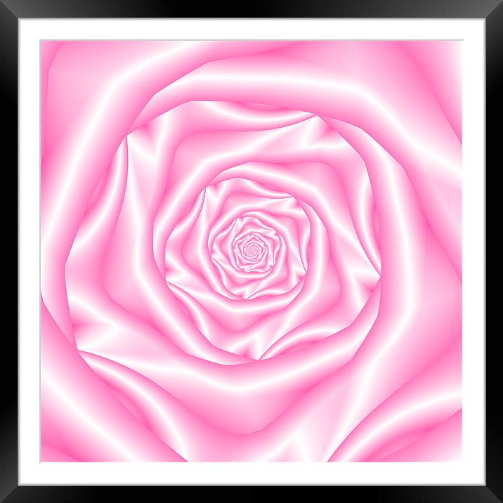 Pale Pink Spiral Rose Framed Mounted Print by Colin Forrest