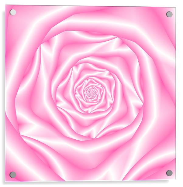 Pale Pink Spiral Rose Acrylic by Colin Forrest