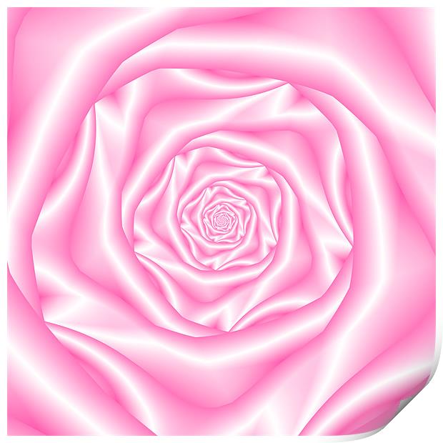 Pale Pink Spiral Rose Print by Colin Forrest