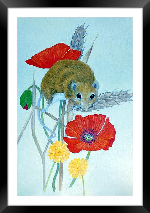 Harvest Mouse Framed Mounted Print by Olive Denyer