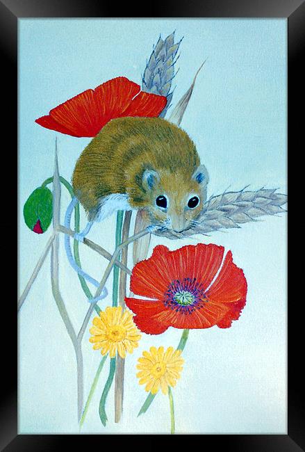 Harvest Mouse Framed Print by Olive Denyer