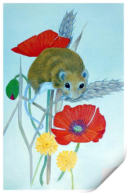 Harvest Mouse Print by Olive Denyer