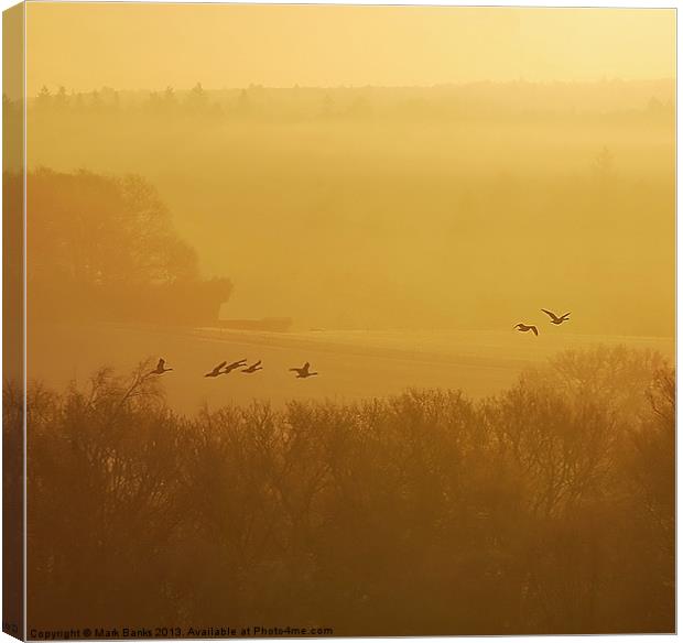 Geese At Sunrise Canvas Print by Mark  F Banks