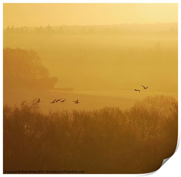 Geese At Sunrise Print by Mark  F Banks
