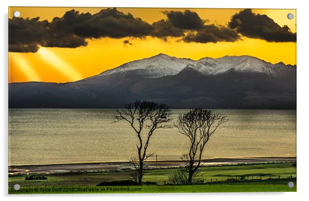 Sunset over Arran from Portencross Acrylic by Tylie Duff Photo Art
