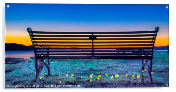 View from the Bench Acrylic by Tylie Duff Photo Art