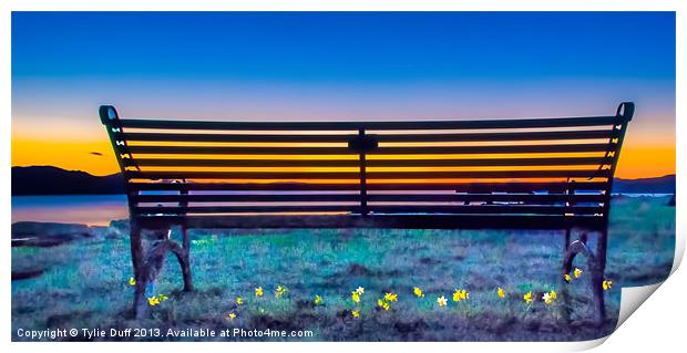 View from the Bench Print by Tylie Duff Photo Art