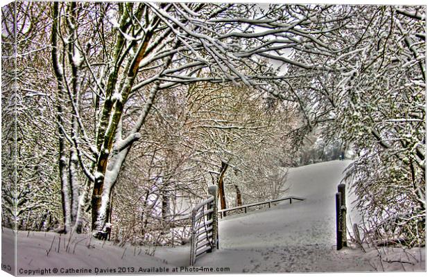 Winter in the park Canvas Print by Catherine Davies