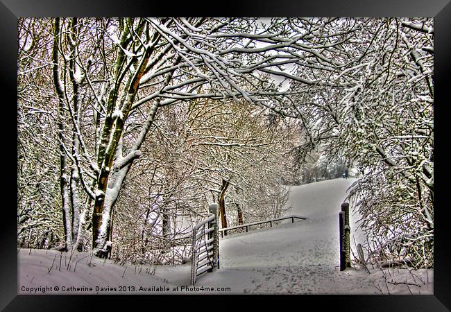 Winter in the park Framed Print by Catherine Davies