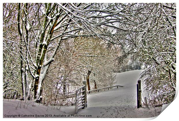 Winter in the park Print by Catherine Davies