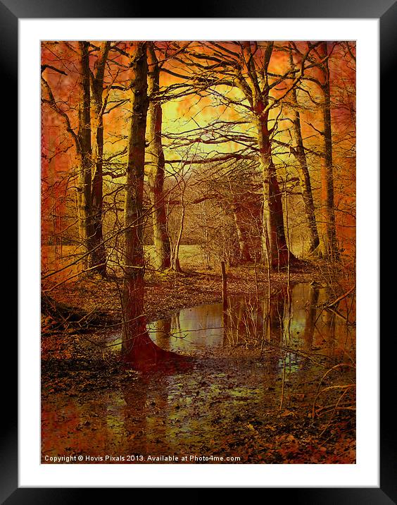 Autumn Texture Framed Mounted Print by Dave Burden