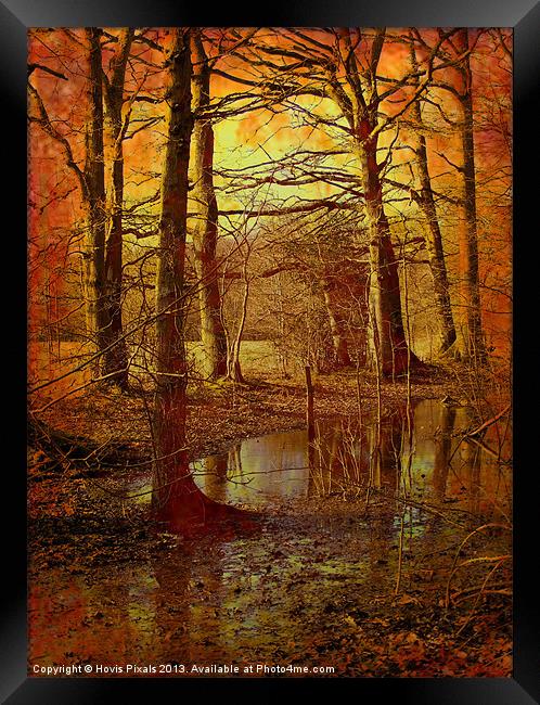 Autumn Texture Framed Print by Dave Burden