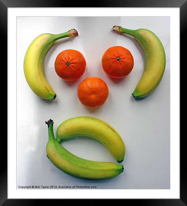 MONKEY FRUIT Framed Mounted Print by Mal Taylor Photography