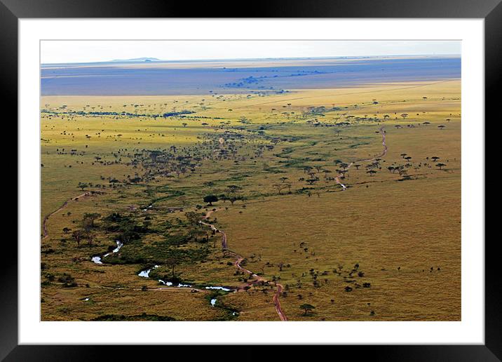 Serengeti Landscape Framed Mounted Print by Tony Murtagh