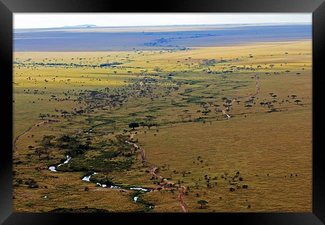 Serengeti Landscape Framed Print by Tony Murtagh